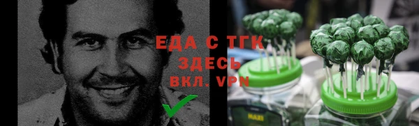 ECSTASY Алзамай