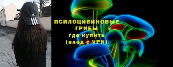 метадон Алексин