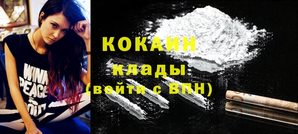 ECSTASY Алзамай