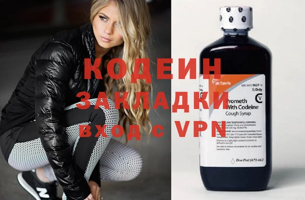 ECSTASY Алзамай