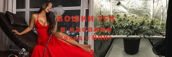 дурь Алексеевка