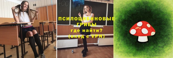 метадон Алексин
